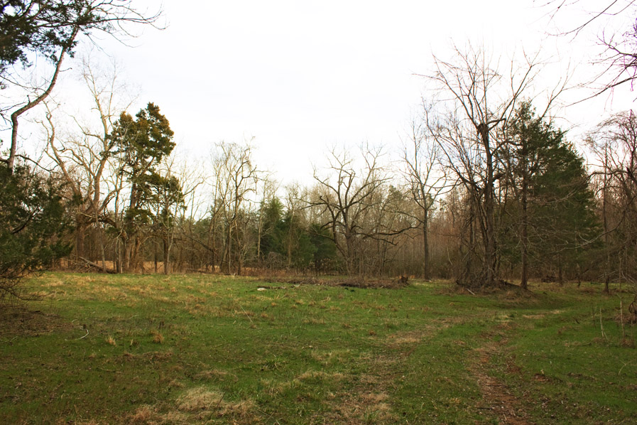 WALNUT HALL WILLIE P. MANGUM HOUSE Open Durham
