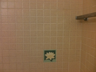 2710 Lily Pad II_0.JPG
